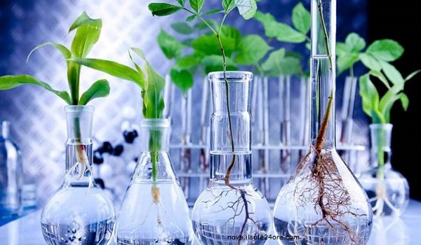 Bioteknologi Bisnis Masa Depan dengan Potensi Ekonomi Besar