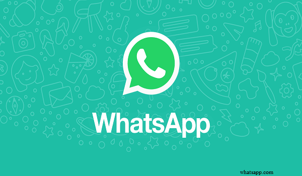 Cara Cek Informasi Virus Corona Lewat Whatsapp