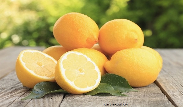 Lemon, Penyebab Munculnya Mafia di Italia Pada Abad ke-19