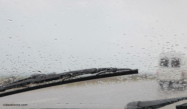 Wiper Mobil Ditemukan Peternak Sapi